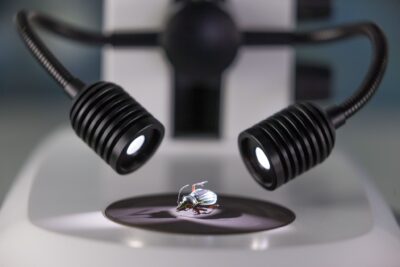 ZEISS Stemi 305 Stereo microscoop - Afbeelding 7