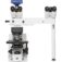 Axioscope-7_Co-Observation_right_1